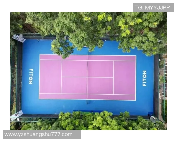 深圳网球队状态分析：从训练到比赛的全面探讨与展望