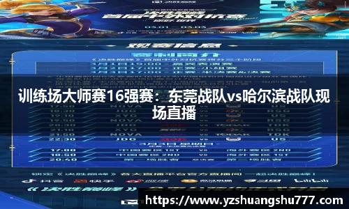 训练场大师赛16强赛：东莞战队vs哈尔滨战队现场直播